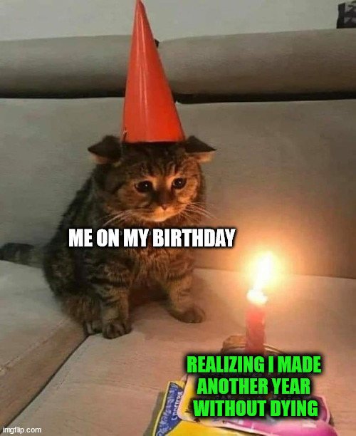 ME ON MY BIRTHDAY; REALIZING I MADE 
ANOTHER YEAR 
WITHOUT DYING | image tagged in happy birthday | made w/ Imgflip meme maker