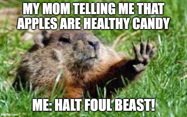 The halting groundhog | MY MOM TELLING ME THAT APPLES ARE HEALTHY CANDY; ME: HALT FOUL BEAST! | image tagged in hold up | made w/ Imgflip meme maker