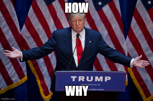 Donald Trump | HOW WHY | image tagged in donald trump | made w/ Imgflip meme maker