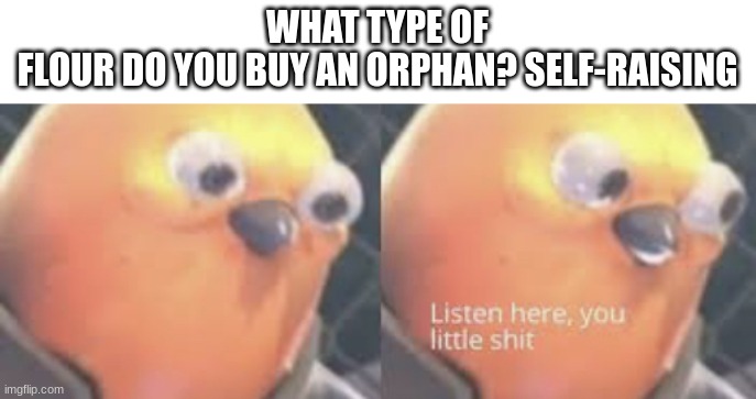 *CHOKES* | WHAT TYPE OF FLOUR DO YOU BUY AN ORPHAN? SELF-RAISING | image tagged in listen here you little shit bird,funny memes,dark humor | made w/ Imgflip meme maker