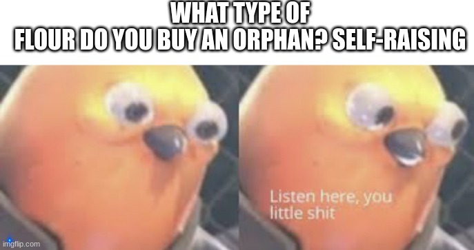 image title | WHAT TYPE OF FLOUR DO YOU BUY AN ORPHAN? SELF-RAISING | image tagged in listen here you little shit bird | made w/ Imgflip meme maker