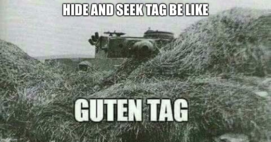Hide and seek tag | HIDE AND SEEK TAG BE LIKE | image tagged in german guten tag tiger | made w/ Imgflip meme maker