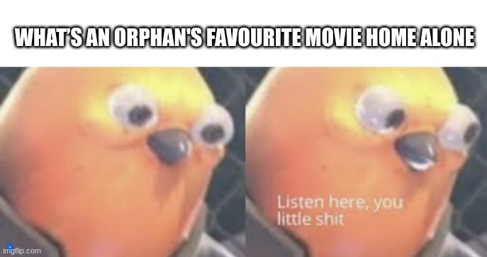 show to memenade | WHAT’S AN ORPHAN'S FAVOURITE MOVIE HOME ALONE | image tagged in listen here you little shit bird | made w/ Imgflip meme maker