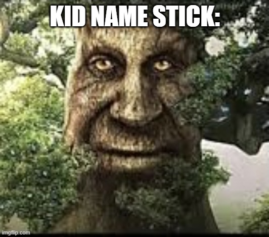 Wise mytical tree | KID NAME STICK: | image tagged in wise mytical tree | made w/ Imgflip meme maker