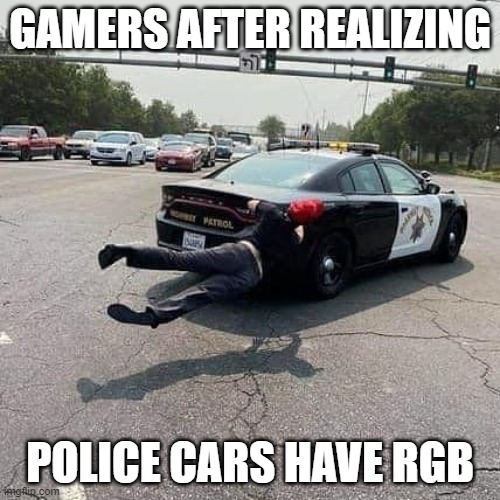 Gamers be loving all the rgb stuff | GAMERS AFTER REALIZING; POLICE CARS HAVE RGB | image tagged in ride along,police,police car,gamer,gamers,lights | made w/ Imgflip meme maker