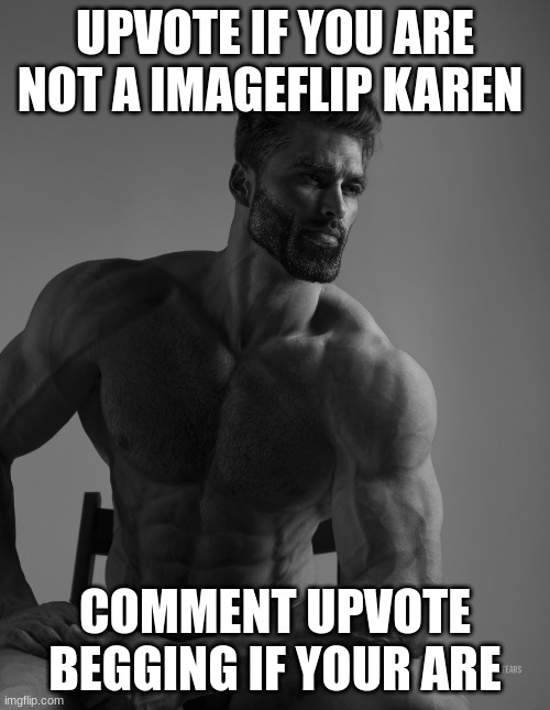 i will see the results | UPVOTE IF YOU ARE NOT A IMAGEFLIP KAREN; COMMENT UPVOTE BEGGING IF YOUR ARE | image tagged in giga chad | made w/ Imgflip meme maker