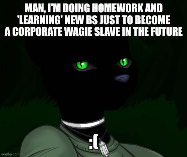 My new panther fursona | MAN, I'M DOING HOMEWORK AND 'LEARNING' NEW BS JUST TO BECOME A CORPORATE WAGIE SLAVE IN THE FUTURE; :( | image tagged in my new panther fursona | made w/ Imgflip meme maker