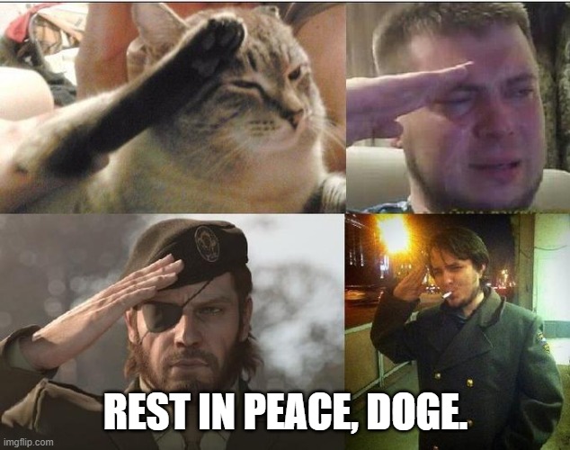 Ozon's Salute | REST IN PEACE, DOGE. | image tagged in ozon's salute | made w/ Imgflip meme maker