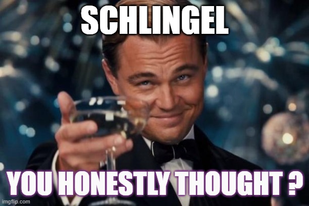 Leonardo Dicaprio Cheers Meme | SCHLINGEL; YOU HONESTLY THOUGHT ? | image tagged in memes,leonardo dicaprio cheers | made w/ Imgflip meme maker