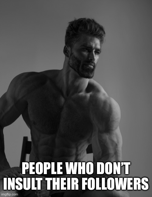 Giga Chad | PEOPLE WHO DON’T INSULT THEIR FOLLOWERS | image tagged in giga chad | made w/ Imgflip meme maker