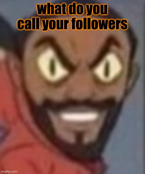 goofy ass | what do you call your followers | image tagged in goofy ass | made w/ Imgflip meme maker