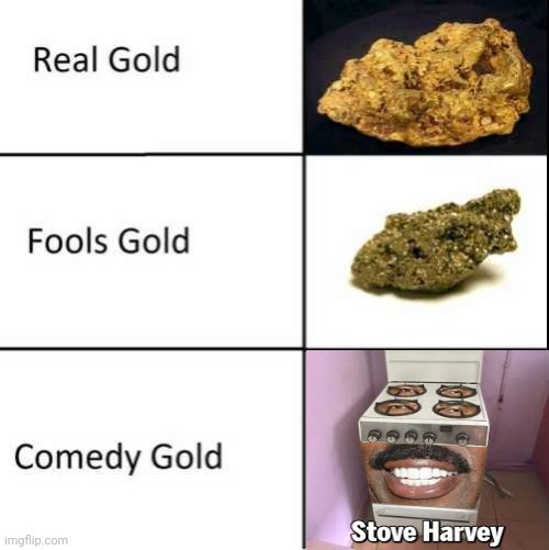 Stove Harvey | image tagged in comedy gold,steve harvey,stove harvey,memes,stove,meme | made w/ Imgflip meme maker