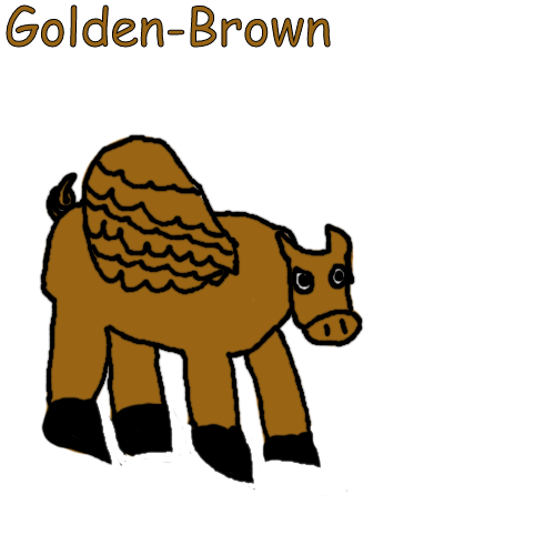Golden-Brown Blank Meme Template