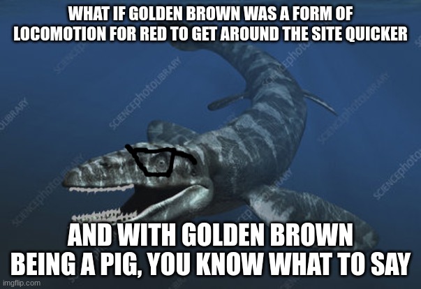 Plioplatweeb | WHAT IF GOLDEN BROWN WAS A FORM OF LOCOMOTION FOR RED TO GET AROUND THE SITE QUICKER; AND WITH GOLDEN BROWN BEING A PIG, YOU KNOW WHAT TO SAY | image tagged in plioplatweeb | made w/ Imgflip meme maker