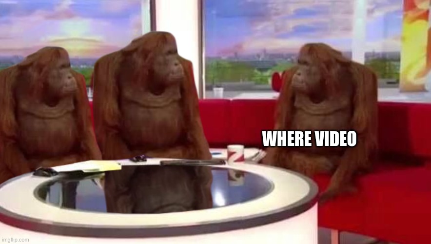 where monkey | WHERE VIDEO | image tagged in where monkey | made w/ Imgflip meme maker