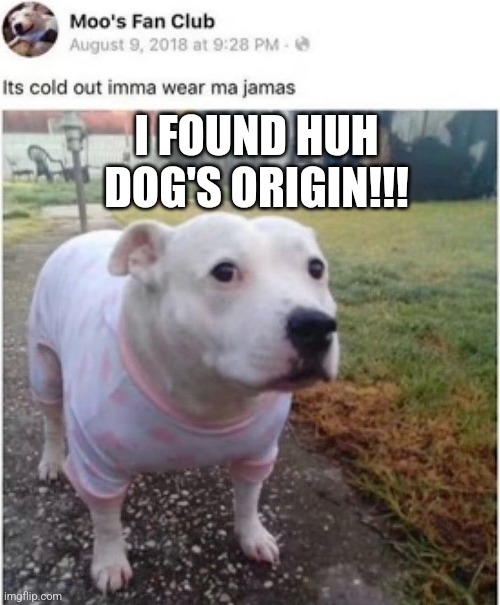 I FOUND HUH DOG'S ORIGIN!!! | made w/ Imgflip meme maker