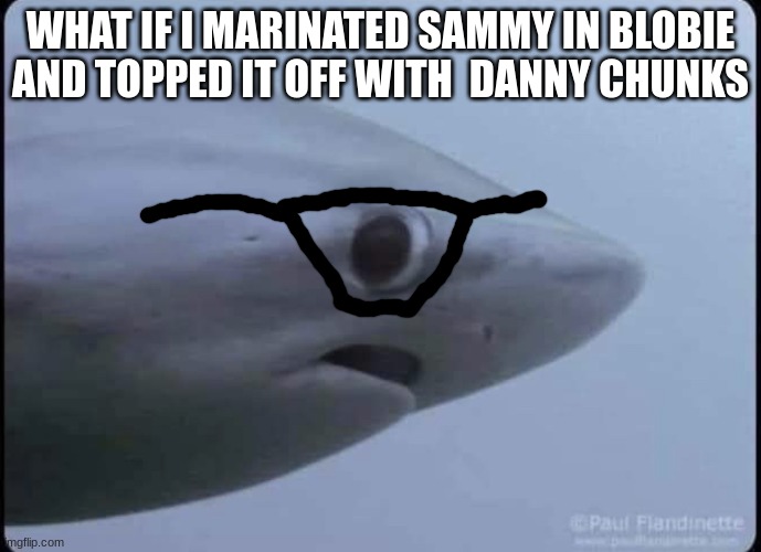 Aloober | WHAT IF I MARINATED SAMMY IN BLOBIE AND TOPPED IT OFF WITH  DANNY CHUNKS | image tagged in aloober | made w/ Imgflip meme maker