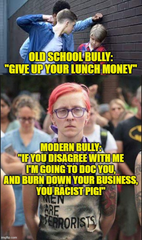 Modern Bullying |  OLD SCHOOL BULLY:
"GIVE UP YOUR LUNCH MONEY"; MODERN BULLY:
"IF YOU DISAGREE WITH ME
I'M GOING TO DOC YOU,
AND BURN DOWN YOUR BUSINESS,
YOU RACIST PIG!" | image tagged in activism | made w/ Imgflip meme maker