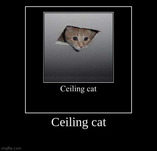 Ceiling cat | image tagged in ceiling cat | made w/ Imgflip meme maker