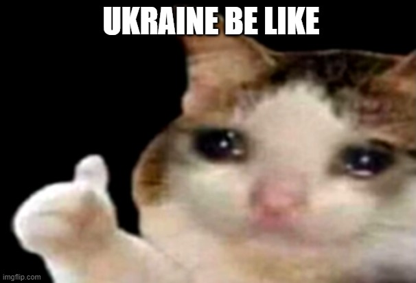 Sad cat thumbs up | UKRAINE BE LIKE | image tagged in sad cat thumbs up,funny memes,cats | made w/ Imgflip meme maker
