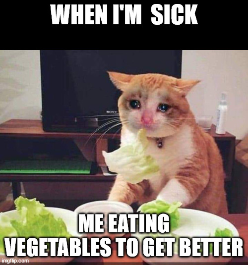 Cryingcat | WHEN I'M  SICK; ME EATING VEGETABLES TO GET BETTER | image tagged in cryingcat | made w/ Imgflip meme maker