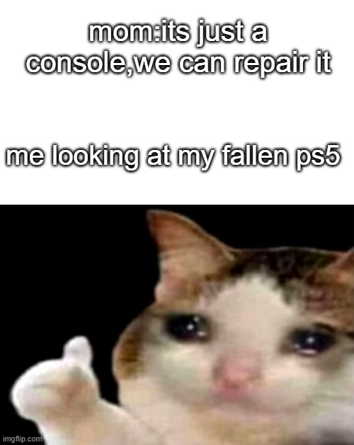 mom:its just a console,we can repair it; me looking at my fallen ps5 | image tagged in blank,sad cat thumbs up | made w/ Imgflip meme maker