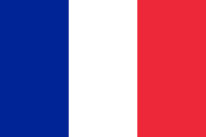French flag Blank Meme Template