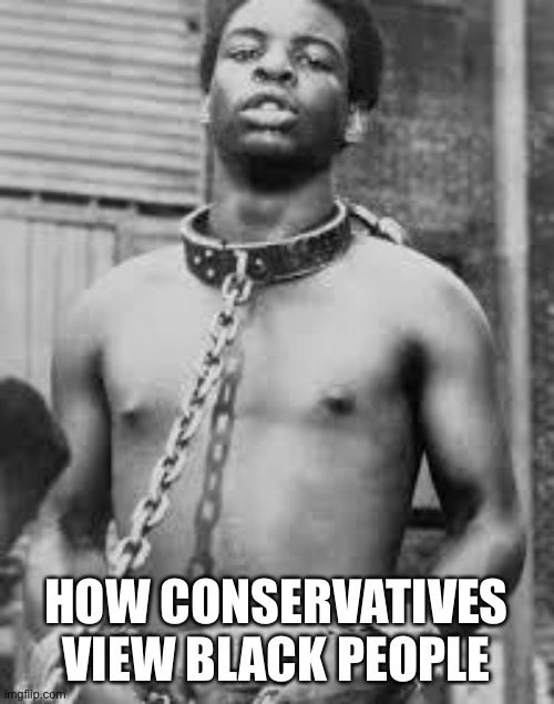 Black Slave | HOW CONSERVATIVES VIEW BLACK PEOPLE | image tagged in black slave | made w/ Imgflip meme maker