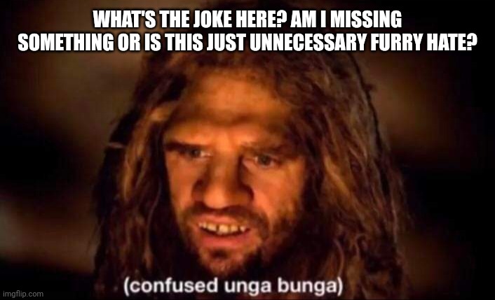 Confused Unga Bunga | WHAT'S THE JOKE HERE? AM I MISSING SOMETHING OR IS THIS JUST UNNECESSARY FURRY HATE? | image tagged in confused unga bunga | made w/ Imgflip meme maker