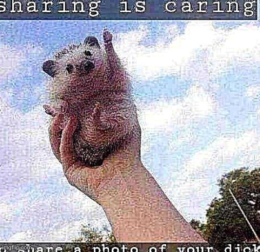 Sharing is caring | image tagged in sharing is caring | made w/ Imgflip meme maker