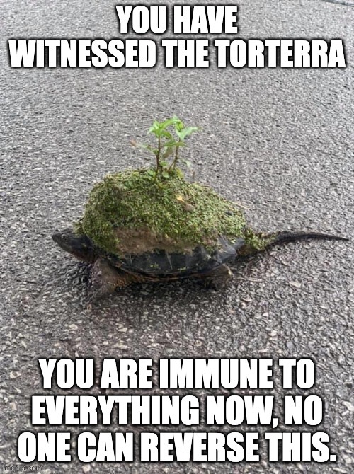 found this at 7 am so here you go people who weren't awake | made w/ Imgflip meme maker