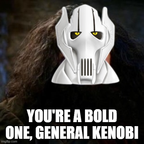 Hello there | YOU'RE A BOLD ONE, GENERAL KENOBI | image tagged in general kenobi hello there,general grievous,revenge of the sith | made w/ Imgflip meme maker