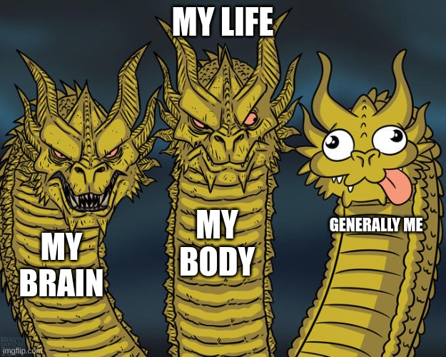 Three-headed Dragon | MY LIFE; MY BODY; GENERALLY ME; MY BRAIN | image tagged in three-headed dragon | made w/ Imgflip meme maker