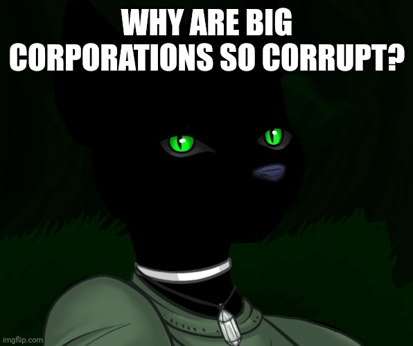 My new panther fursona | WHY ARE BIG CORPORATIONS SO CORRUPT? | image tagged in my new panther fursona | made w/ Imgflip meme maker