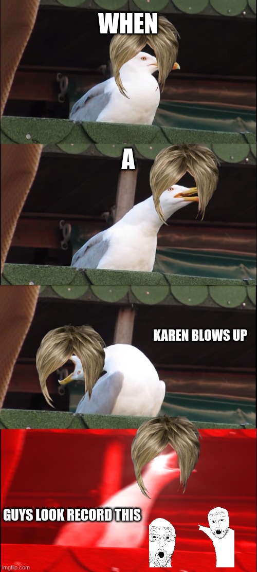 Facts | WHEN; A; KAREN BLOWS UP; GUYS LOOK RECORD THIS | image tagged in memes,inhaling seagull,karens | made w/ Imgflip meme maker