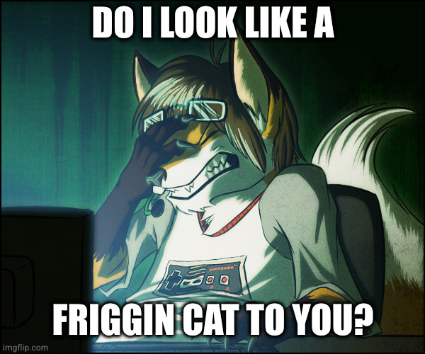 Furry facepalm | DO I LOOK LIKE A FRIGGIN CAT TO YOU? | image tagged in furry facepalm | made w/ Imgflip meme maker
