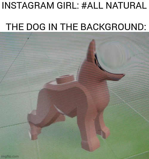 you get no brick-ches |  THE DOG IN THE BACKGROUND:; INSTAGRAM GIRL: #ALL NATURAL | image tagged in instagram,lego,memes | made w/ Imgflip meme maker