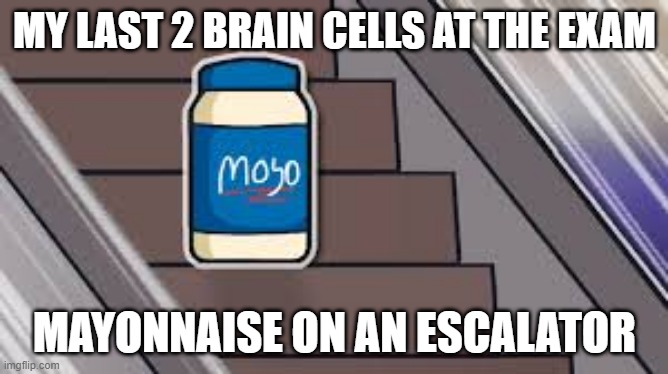 mayonaisse on an escalator | MY LAST 2 BRAIN CELLS AT THE EXAM; MAYONNAISE ON AN ESCALATOR | image tagged in mayonaise on an escalator | made w/ Imgflip meme maker