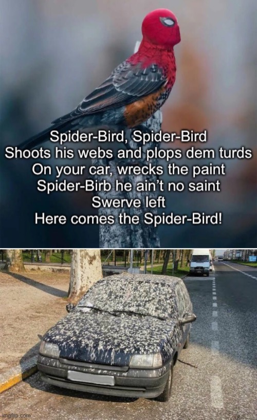 Splat! | image tagged in funny memes,spiderman,bird droppings,eeew | made w/ Imgflip meme maker