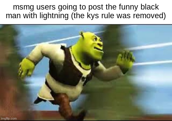 Shrek Running | msmg users going to post the funny black man with lightning (the kys rule was removed) | image tagged in shrek running | made w/ Imgflip meme maker