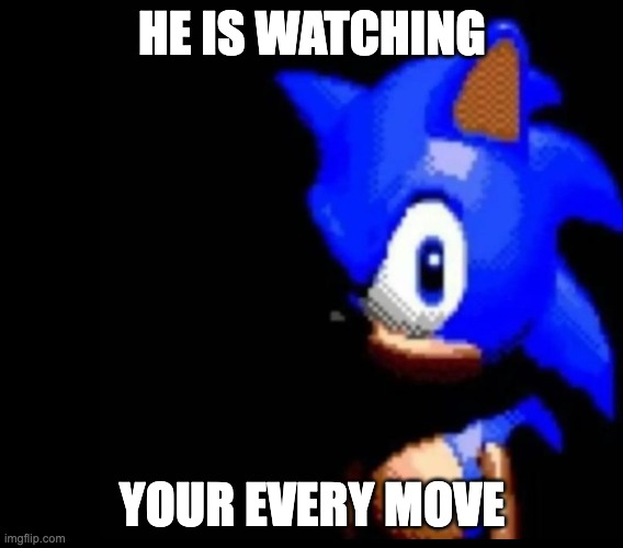 Sonic stares | HE IS WATCHING; YOUR EVERY MOVE | image tagged in sonic stares,scary,bruh,sonic the hedgehog,funny,funny meme | made w/ Imgflip meme maker