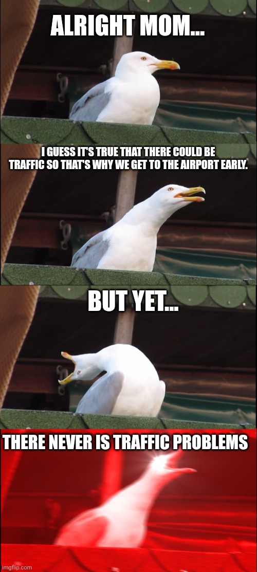Airport Parents | ALRIGHT MOM... I GUESS IT'S TRUE THAT THERE COULD BE TRAFFIC SO THAT'S WHY WE GET TO THE AIRPORT EARLY. BUT YET... THERE NEVER IS TRAFFIC PROBLEMS | image tagged in memes,inhaling seagull | made w/ Imgflip meme maker