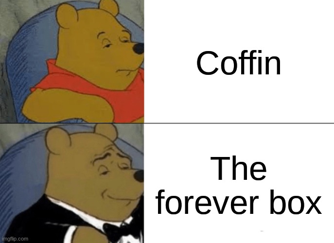 Ha Ha | Coffin; The forever box | image tagged in memes,tuxedo winnie the pooh | made w/ Imgflip meme maker