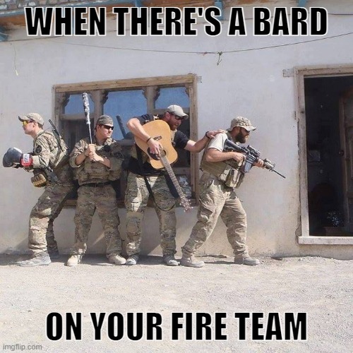 D&D Party | WHEN THERE'S A BARD; ON YOUR FIRE TEAM | image tagged in d d party | made w/ Imgflip meme maker