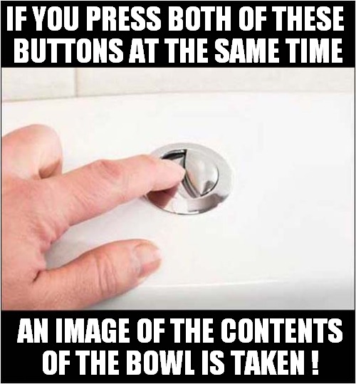 You Have Been Warned ! | IF YOU PRESS BOTH OF THESE 
BUTTONS AT THE SAME TIME; AN IMAGE OF THE CONTENTS OF THE BOWL IS TAKEN ! | image tagged in toilet,two buttons,photo,warning | made w/ Imgflip meme maker