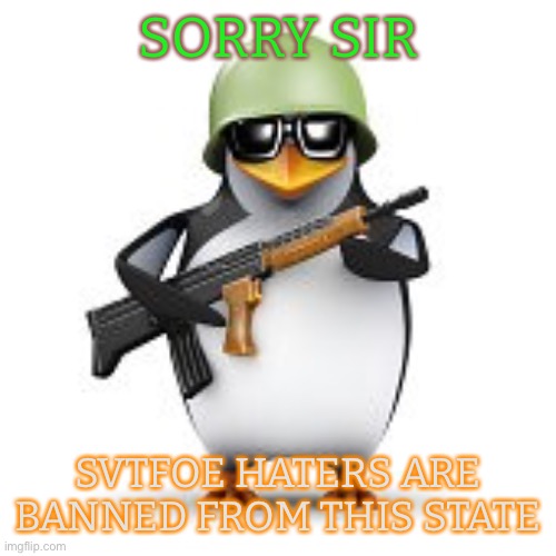Anti-SVTFOE Hater Penguin | SORRY SIR; SVTFOE HATERS ARE BANNED FROM THIS STATE | image tagged in no anime penguin,memes,svtfoe,star vs the forces of evil,custom template,new template | made w/ Imgflip meme maker