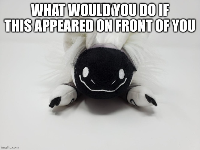 Bean | WHAT WOULD YOU DO IF THIS APPEARED ON FRONT OF YOU | image tagged in bean | made w/ Imgflip meme maker