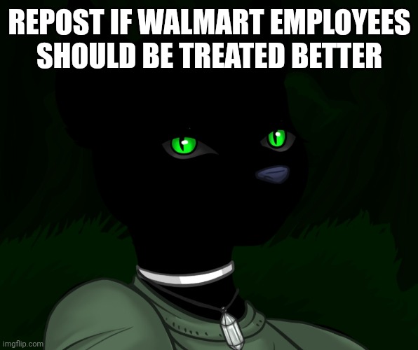 My new panther fursona | REPOST IF WALMART EMPLOYEES SHOULD BE TREATED BETTER | image tagged in my new panther fursona | made w/ Imgflip meme maker
