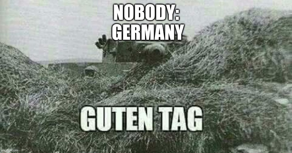 German guten tag tiger | NOBODY:
 GERMANY | image tagged in german guten tag tiger | made w/ Imgflip meme maker