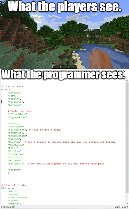 Minecraft Behind The Scenes. | What the players see. What the programmer sees. | image tagged in minecraft,coding,programming,python | made w/ Imgflip meme maker